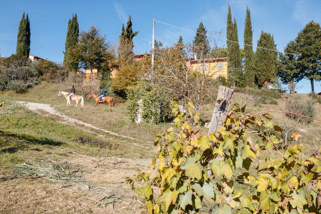 מוטספרטולי Podere Dell'Anselmo מראה חיצוני תמונה